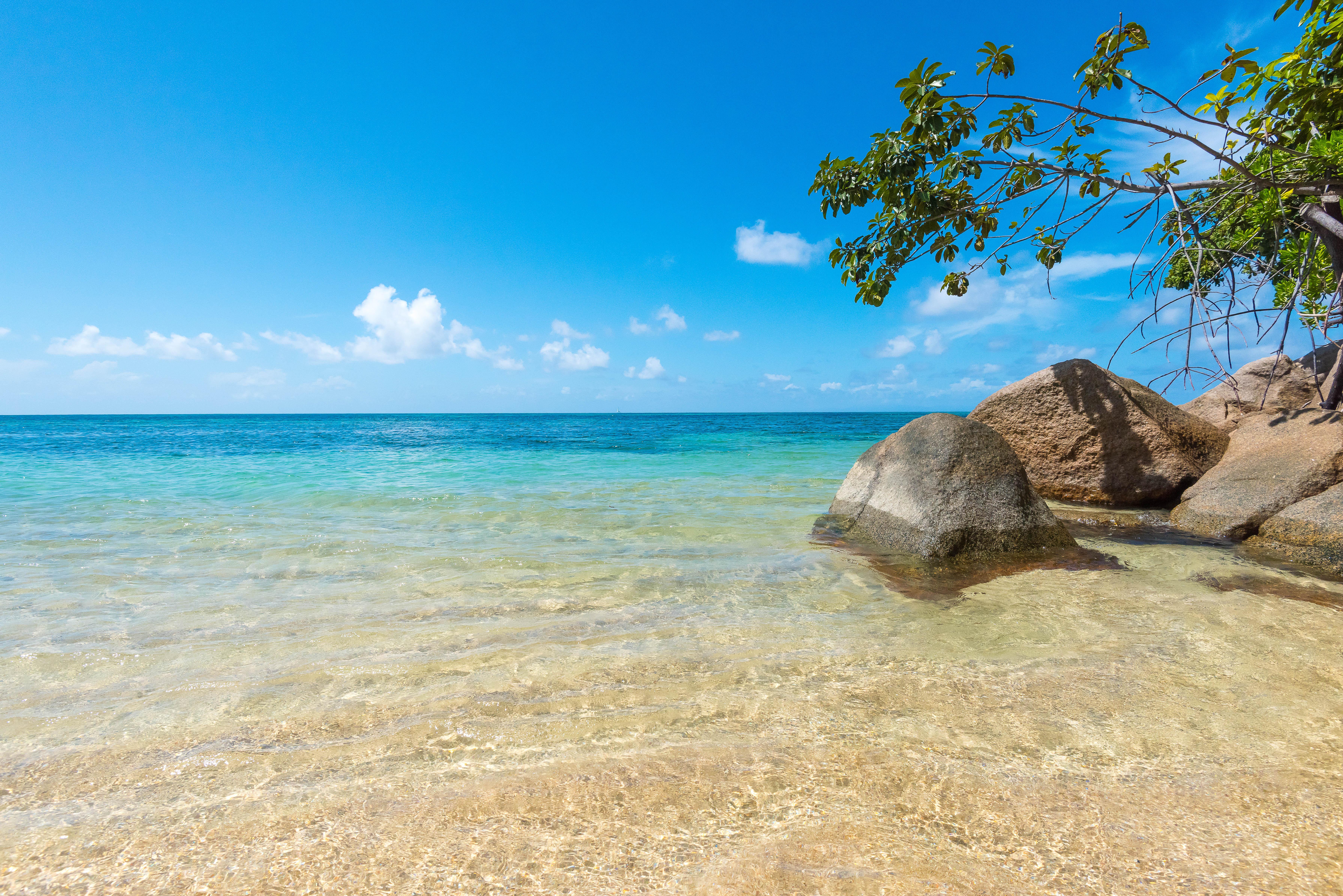 โคโค เด เมอร์ แอนด์ แบล็ค แพร์รอท สวีต Hotel Grand Anse  ภายนอก รูปภาพ