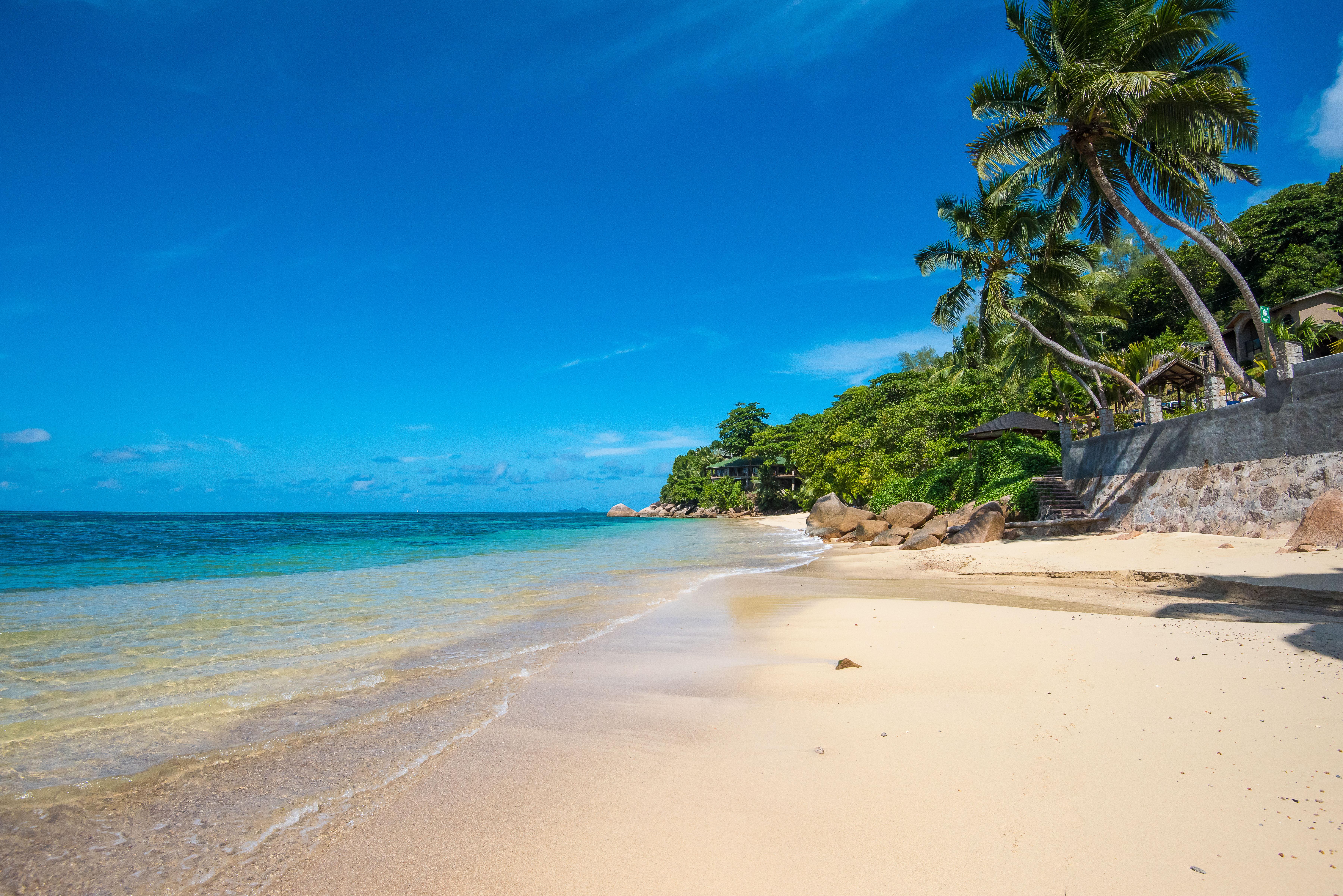 โคโค เด เมอร์ แอนด์ แบล็ค แพร์รอท สวีต Hotel Grand Anse  ภายนอก รูปภาพ