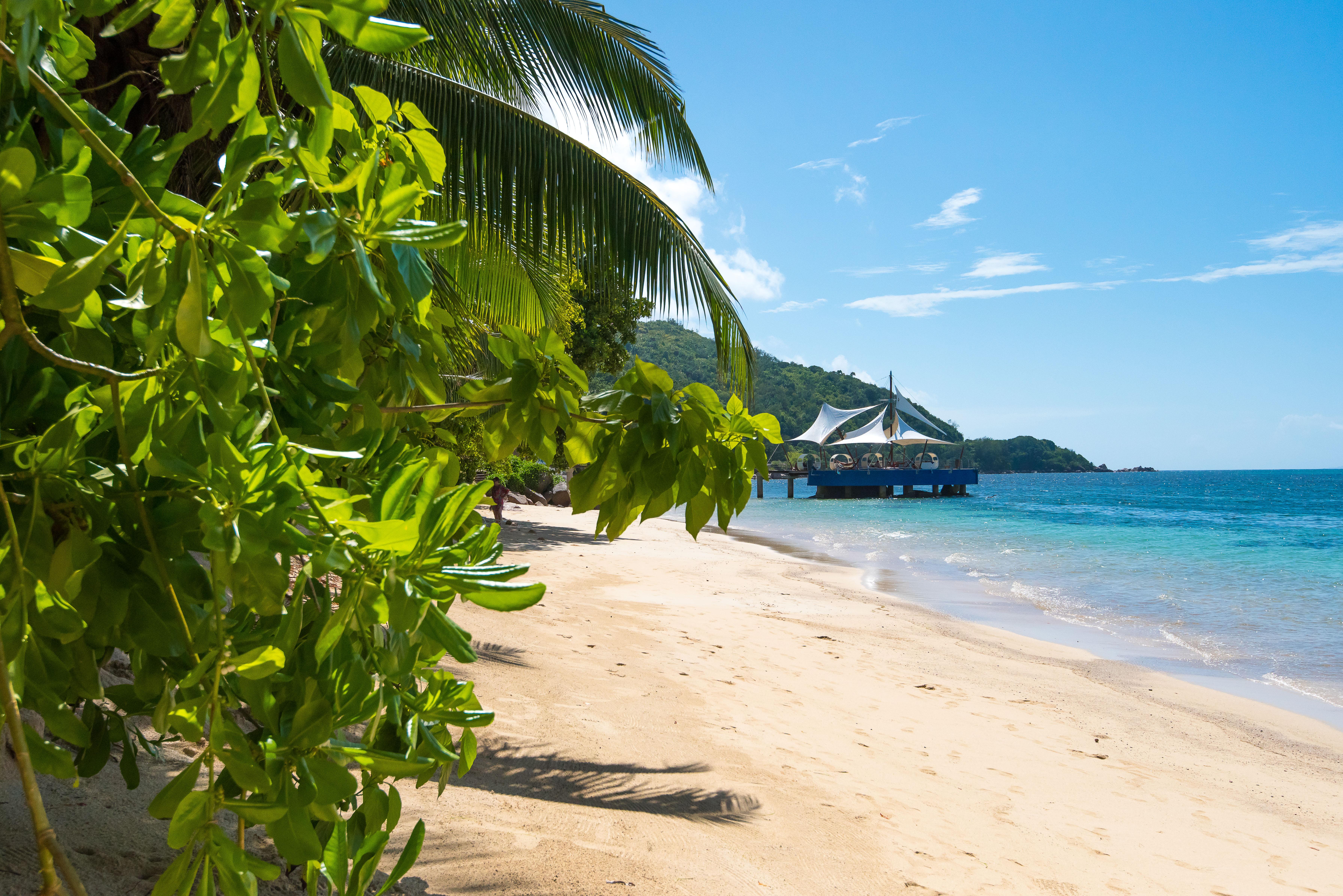 โคโค เด เมอร์ แอนด์ แบล็ค แพร์รอท สวีต Hotel Grand Anse  ภายนอก รูปภาพ